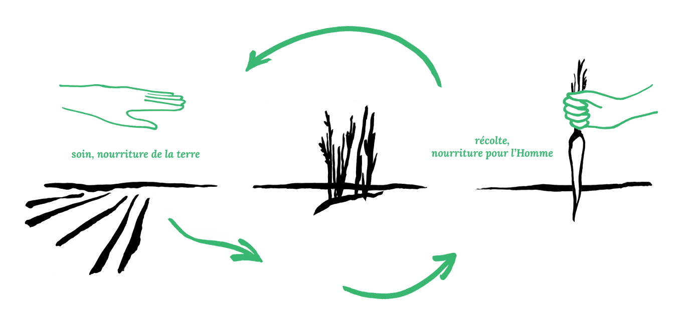 Agriculture biologique