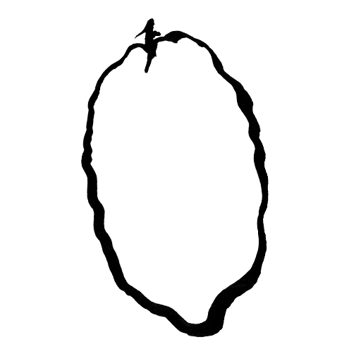 citron cédrat