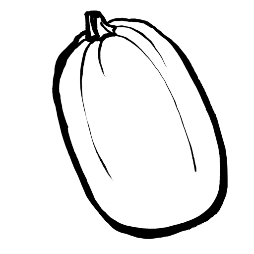 courge spaghetti