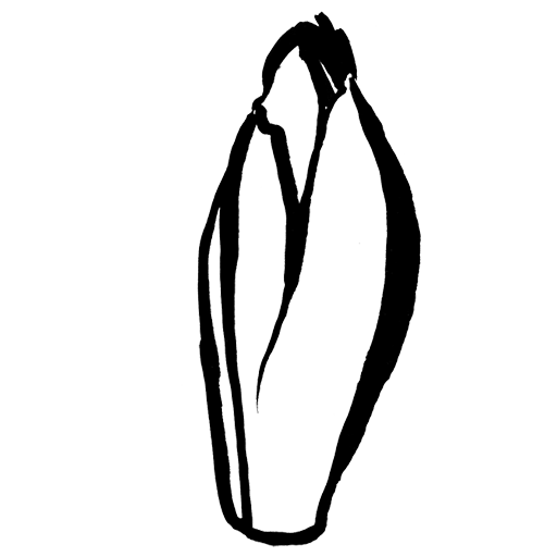 endive
