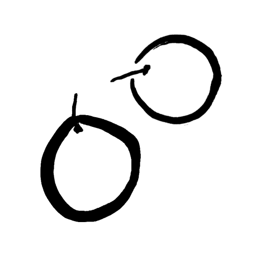 prune mirabelle