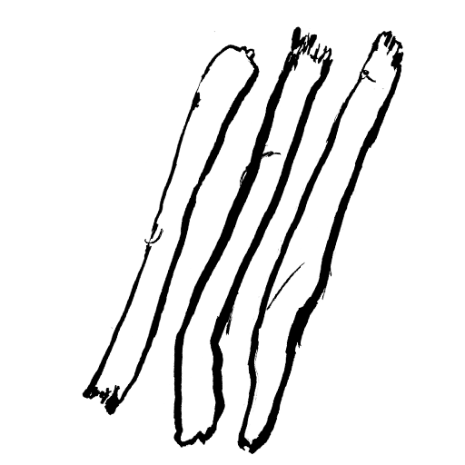 salsifi (scorsonère)